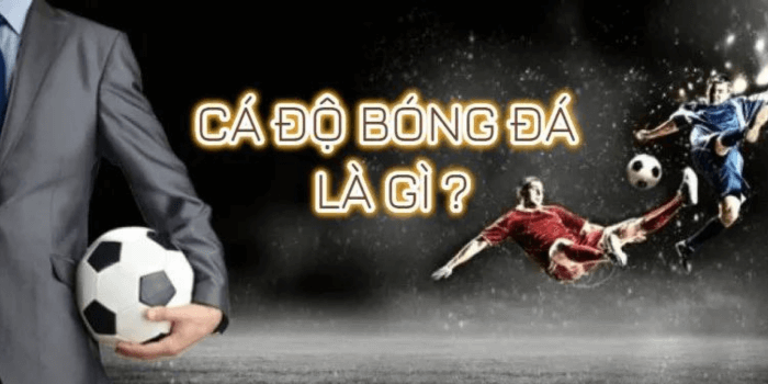 Cá độ bóng đá là gì?